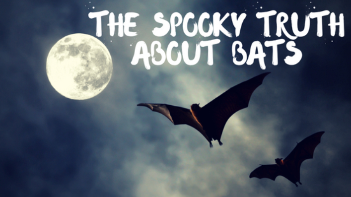 bats1